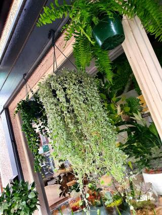 Fleuriste Art Home 0