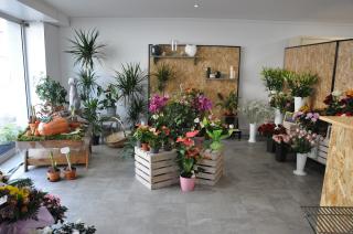 Fleuriste LES PERVENCHES 1