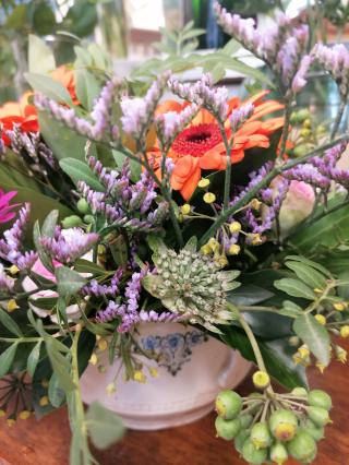 Fleuriste PHYSALIS 0