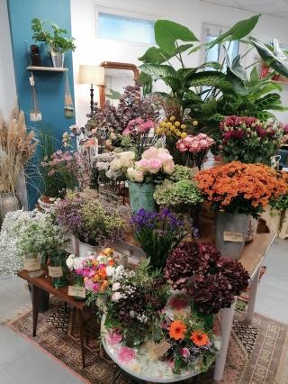 Fleuriste PHYSALIS 0