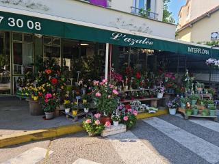 Fleuriste L'azalée fleurs 0