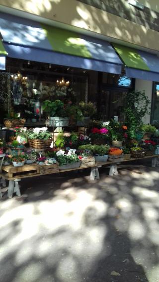 Fleuriste Violettes 0