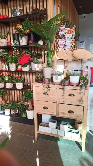 Fleuriste FLEURESCENCE 2