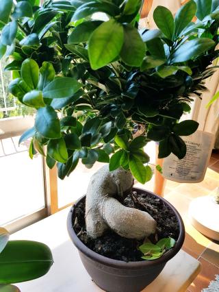 Fleuriste Au Jardin De Provence 0