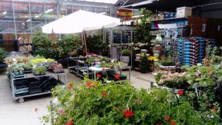 Fleuriste Jardin de France 0