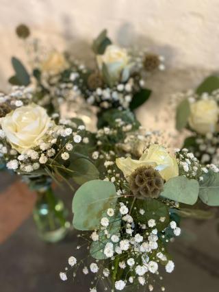 Fleuriste Tacca (Ferrier Signiska) 0