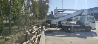 Fleuriste L'Or Vert 0