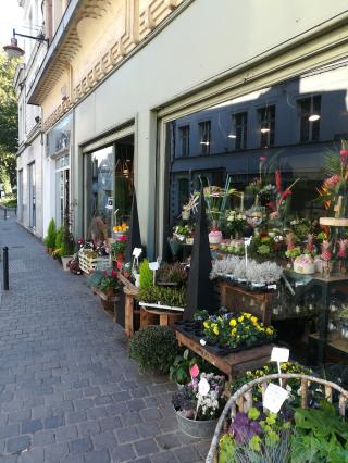 Fleuriste ART FLEURS / BLANCHE et VIRGINIE 0