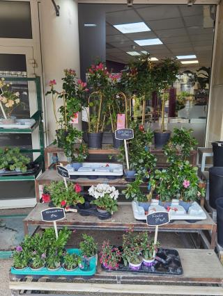 Fleuriste Fleurs du Raincy 0