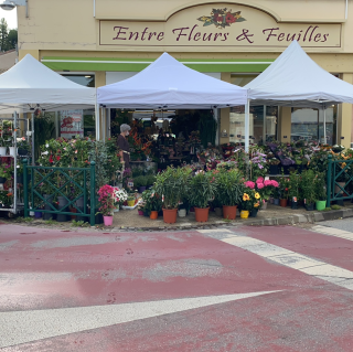 Fleuriste Entre Fleurs et Feuilles 0