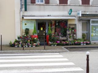 Fleuriste A Lys Fleurs 0