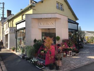 Fleuriste Véron Ghislaine 0