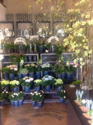 Fleuriste Art et Fleurs 1