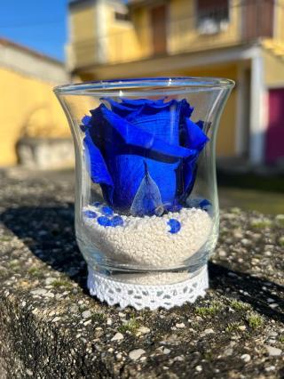 Fleuriste Florabelle - Créations & Compositions de fleurs séchées et stabilisées (Rose éternelle) 2