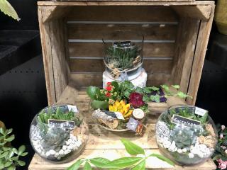 Fleuriste Isa Fleurs St Aubin les Elbeuf 0