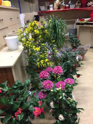 Fleuriste La Roseraie Sarl 0