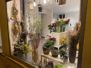 Fleuriste Ciel Flore 1