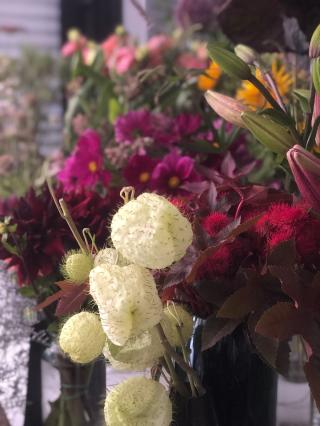 Fleuriste Lambert et Colson 1