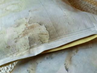 Fleuriste Dianature 1