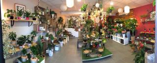 Fleuriste Autour d'une fleur 1