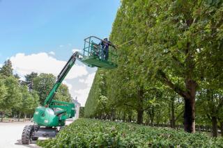 Fleuriste SEM espaces verts 0