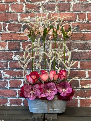 Fleuriste Au jardin d'orchidées 0