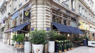 Fleuriste MAISON CELESTIN Artisan Fleuriste 0