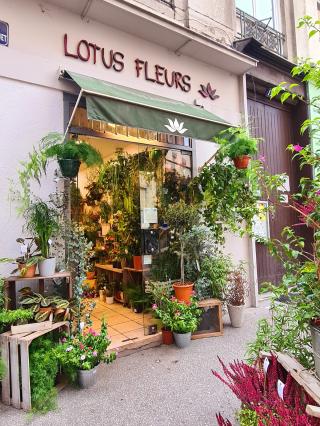 Fleuriste Lotus Fleurs 0