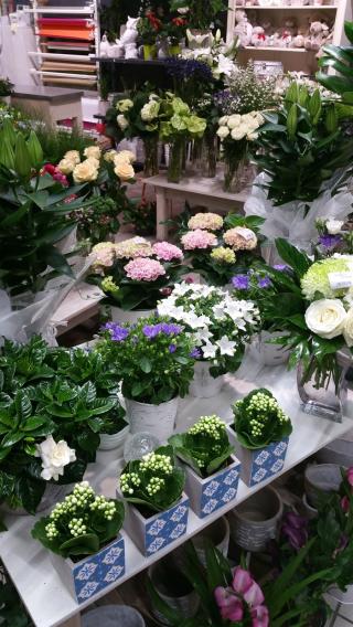 Fleuriste Luly Fleurs 0
