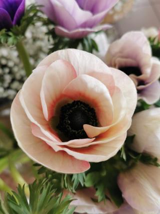 Fleuriste Luly Fleurs 0