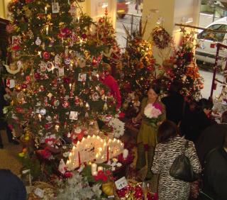 Fleuriste Villa Borghese 0