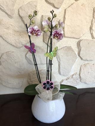 Fleuriste ETS Melin 0