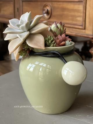 Fleuriste aLICE gEORGINA_m 0