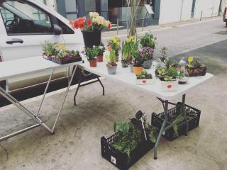 Fleuriste l'atelier bertin m&f 0