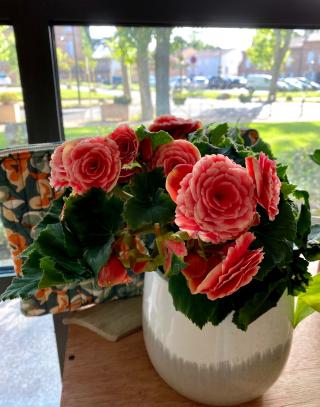 Fleuriste LEMON LEMON MARKET 0