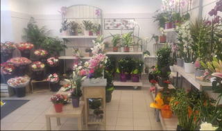 Fleuriste Parfum De Fleurs 2