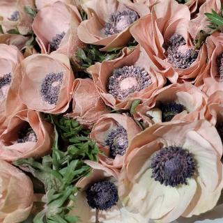 Fleuriste Le Jardin d'Ela 0