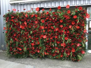 Fleuriste Floraliz 2