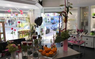 Fleuriste Dolce Terra 0