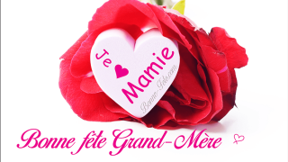 Fleuriste Les Fleurs D'o Lys 0