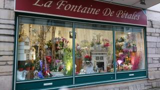Fleuriste La Fontaine de Pétales 0
