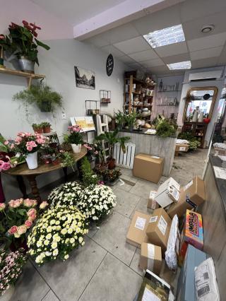 Fleuriste PRINTEMPS FLEURI 2
