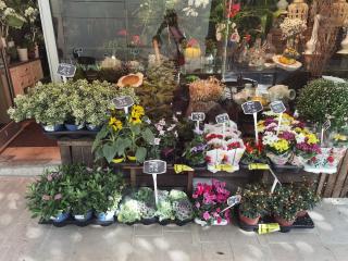 Fleuriste Julien artisan fleuriste (93) 0