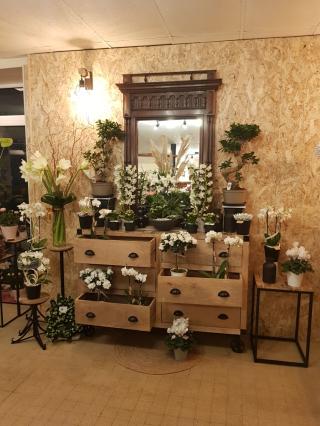 Fleuriste L'Amaryllis 2