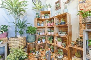 Fleuriste Aux Bouquets de Ka 0