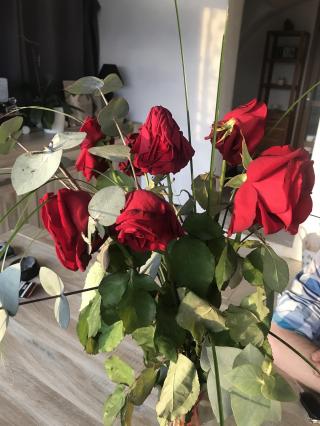 Fleuriste Florazur 2