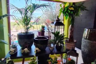 Fleuriste Le Chateau Fleuri 0