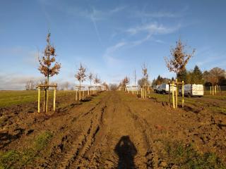 Fleuriste SEM espaces verts 0