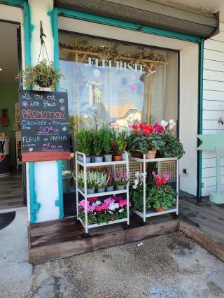 Fleuriste La Vie est une Fleur, Fleuriste La Seyne sur Mer 0