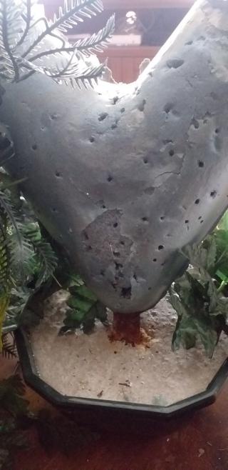 Fleuriste Lelong, Artisan Fleuriste Anzin 0